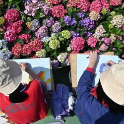 花展繪畫比賽接受報名
