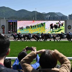 增賽馬博彩活動建議諮詢公眾